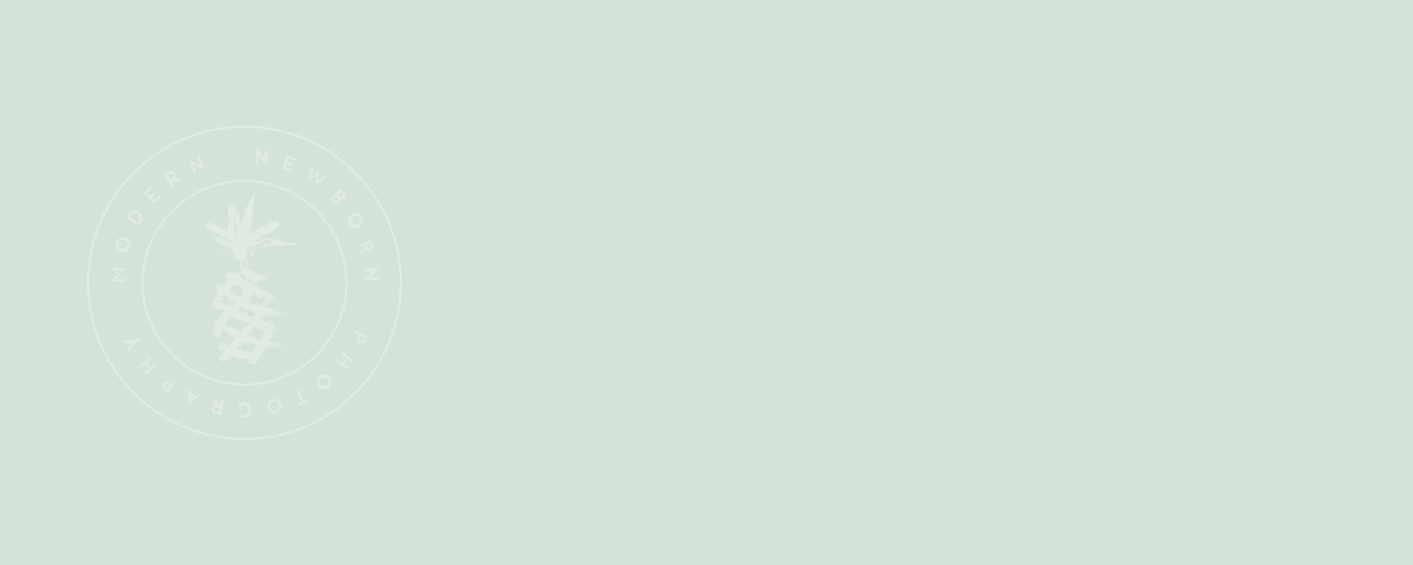 Art Shaggy 1006 Beige