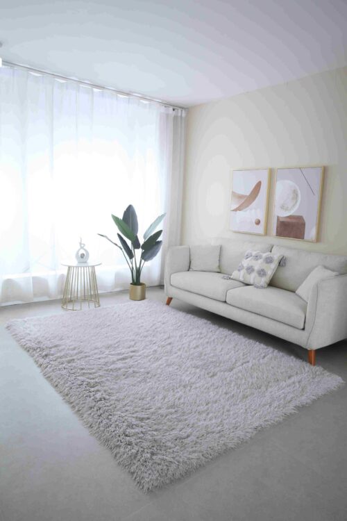 MEILIN-S SHAGGY Rug